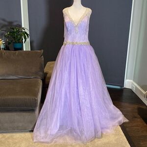 Women’s Purple Full Length V-Neck Silver Beaded Prom Party Dress Size 14 NWT